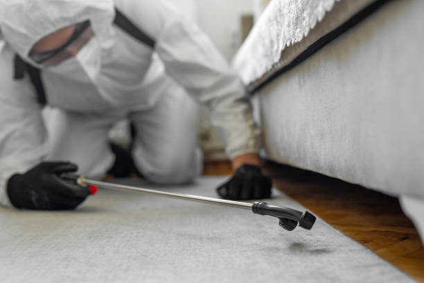 Professional Bed Bug Control technician working in Rooks County County, KS